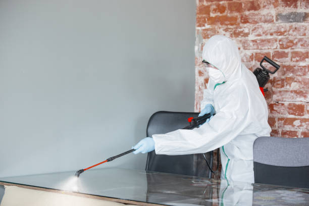 Mold Documentation for Insurance Claims in Ocean Springs, MS