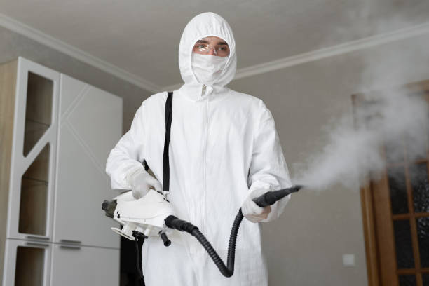 Best Asbestos and Lead Testing During Mold Inspection  in Ocean Springs, MS